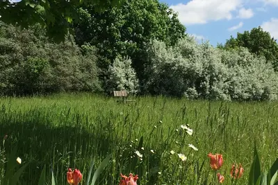 Image de Refuge dans l'Uckermark + beaucoup de nature + idylle avec sauna de jardin + vie élégante
