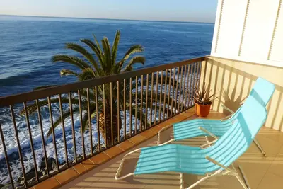 Image de Mer Méditerranée: beau jardin de palmiers, belle piscine, plage à proximité, service amical