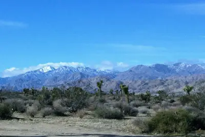 Image de Cozy Experience Joshua Tree Sage