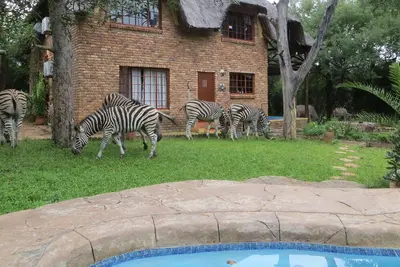 Safari sur et depuis votre terrasse d'observation privée. Profitez de la brousse dans une intimité parfaite!