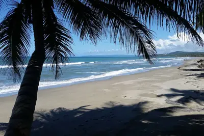 Image de Authentic Beachfront Caribbean Hideaway-Crashing Surf, Palms, & Tradewinds!
