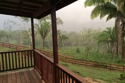 Image de Ac; Forêt tropicale; Nager; Animaux Ok Conviviale et familiale; Vues tropicales luxuriantes