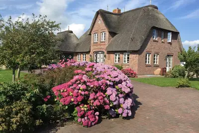 Image de Detached thatched house in a quiet location close to the beach