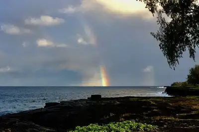 Image de La suite Aloha (avec Ac) Suite spacieuse d'une chambre. Pour un super prix! !