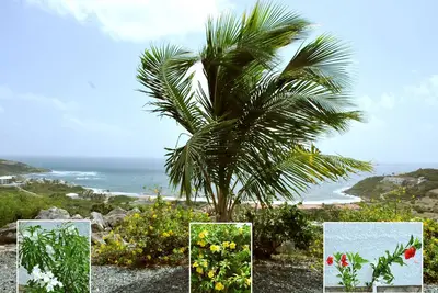 Image de Panoramic Ocean View Villa & St. Barth's: Estate Villa W \/ Private Pool *