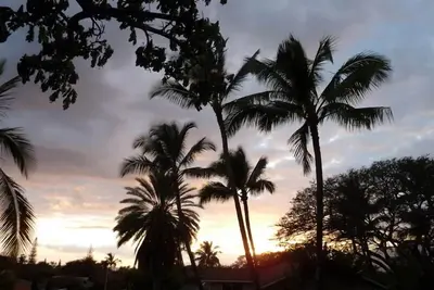 Image de Cozy Maui 'Treehouse' avec de belles vues et commodités