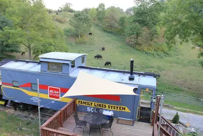Image de Dormez dans un fourgon de queue dans un ranch de buffles de 65 acres!