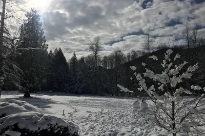 Image de Échappez-vous à Whispering Woods # 454! ! --- Mt. Hood Village, Or