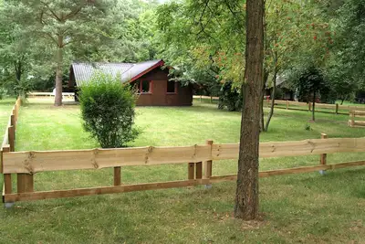 Image de Pure détente: vacances avec enfants et chiens dans la nature
