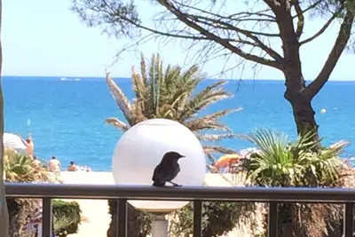 Image de Grand appartement 90m², Vue mer exceptionnelle, Clim, front de mer, Argeles Plage