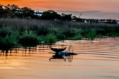 Image de Calme du sud sur un quai en eau profonde!