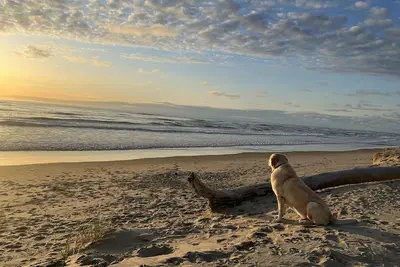 Image de Front De La Plage avec vue sur la baie! !
