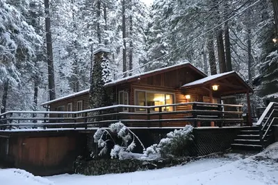 Image de Log Cabin niché dans les arbres de pin dans le parc national de Yosemite