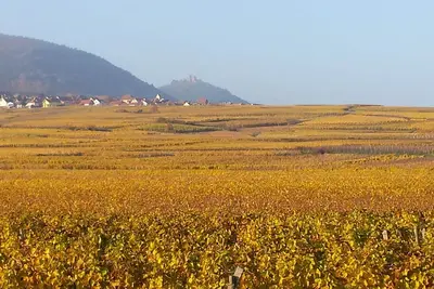Image de Au coeur de l'Alsace culturelle et gourmande, Herrlisheim près Colmar