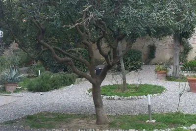 Image de Belle maison Ă Villa Liberty