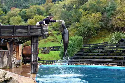 Image de Holiday Park Cabarceno