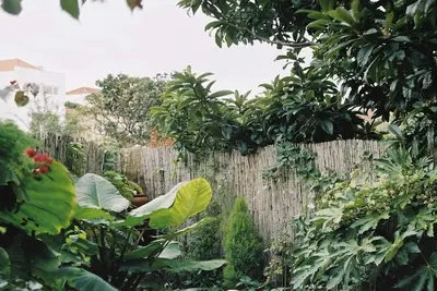 Image de Appartement agréable et calme avec jardin privé. Porto centre!
