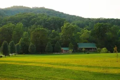 Image de Log Home - Trout Stream - 3 Acres - CONFIDENTIALITÉ - Salle De Jeu - PÊCHE À La PROPRIÉTÉ