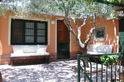 Image de 'Le Vignoble' vallée de l'Alcantara -Taormina - Etna)\nCIN It083029c23xt3mfqp