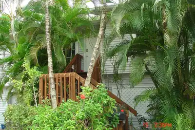 Image de Treetops Private Cozy Tranquil Cottage / Imperial River w / Dock, la faune, les kayaks