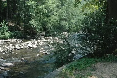 Image de Sur la rivière et à proximité du centre-ville de Gatlinburg avec Wifi, sauna et bain à remous
