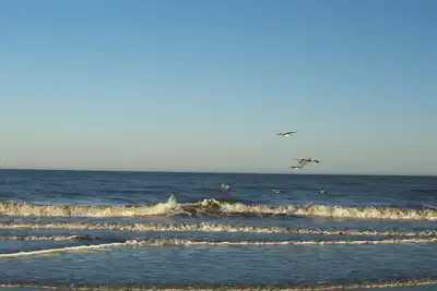 Image de * Endroit spécial pour se détendre et se détendre! Près de Beautiful Beach *