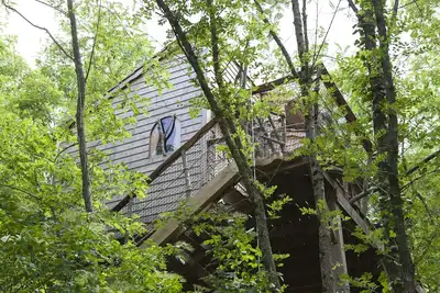Image de Cabane du pĂŞcheur : cabane dans les arbres de charme avec Spa en bords de Loire