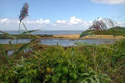 Image de petite maison avec jardin près des ports de Gujan et de la gare