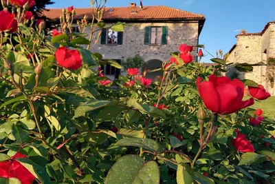 Image de Maison avec jardin. Vue sur le lac d'Orta et le Monte Rosa. Wifi.