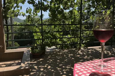 Image de Tranquillité et confort - studio spacieux et terrasse, détendez-vous sous la vigne.