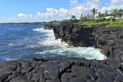 Image de Pali Hale - Expérience face à l'océan à Hawaii - Baleines, tortues et Nénés!