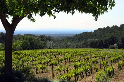 Image de Le Clos Gîte au pied des Dentelles de Montmirail