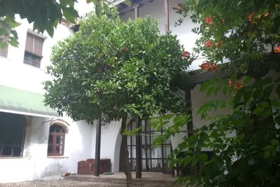 Image de Appartement Avec Terrasse-Solarium Et Propre Patio, Patio Del Limonero
