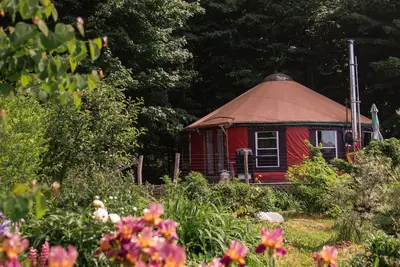Image de Yourte Clean Yourte, niché en privé dans les bois et les jardins