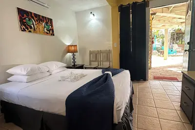 Image de Chambre Jungle - All Seasons Guest House