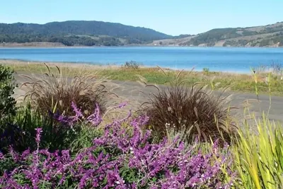 Image de Escapade relaxante à Stinson Beach