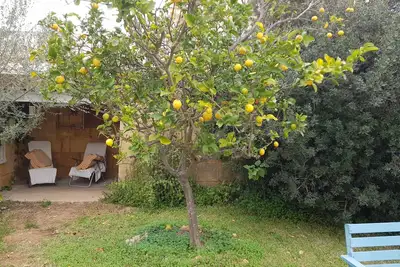 Image de Casita sud de pêche de l'île