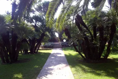 Image de Palmeraie avec piscine en bord de mer