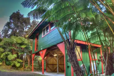 Image de 110 $ \/ nuit! - Hale Hubner - Cabane dans les arbres - Adjacent au parc