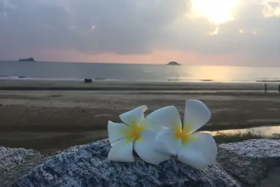 Luxury Beachfront Condo Hua Hin