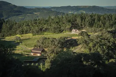 Image de Une expérience de Vineyard In The Wine Country