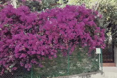 Rapallo villa entourée de verdure