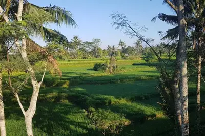 Image de Villa Frangipani 6 Chambres 12+ Personnes  Ubud