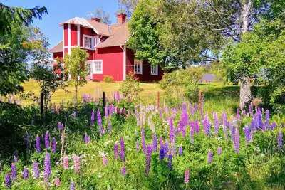 Image de Grande maison près du lac avec une chaloupe - pour 2 familles