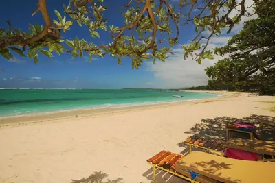 Image de Villa L'Artiste magnifique accès directe sans route a la plage semi privée