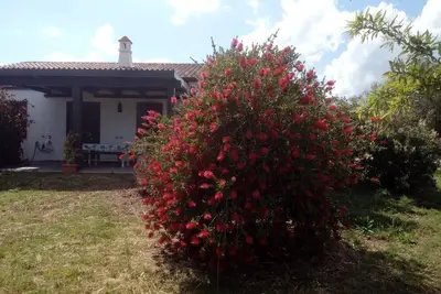 Image de Casa Gollei, Loc. Nerelie, grand jardin pour jouer, wi-fi gratuit! ! Iun-p2044