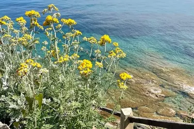Image de Villa Bord De Mer. ACCÈS PRIVÉ Mer. IDÉALE En Famille Ou Entre Amis