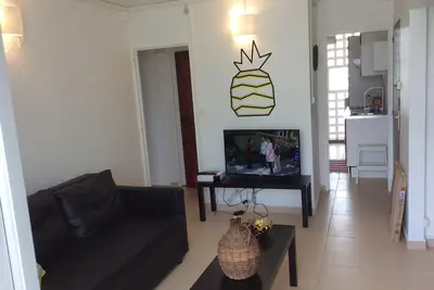 Image de T4 Ananas Wifi à Pointe à Pitre
