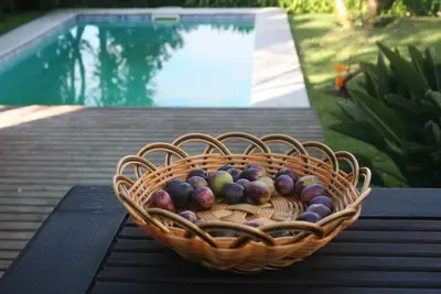 Image de HOMEinLAND of Terroso (PĂłvoa de Varzim) | Villa with Pool, Grill & Seaview