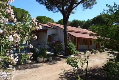Image de Villa individuelle immergée dans une pinède de 13000m2 Santa Margherita
